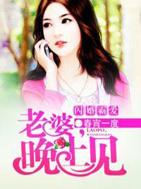 闪婚溺爱:老婆晚安