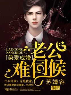 染爱成婚:老公,难伺候