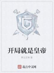 开局就是皇帝