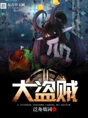 网游之大盗贼(大盗贼)