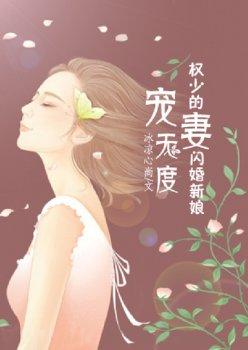 宠妻无度:权少的闪婚新娘