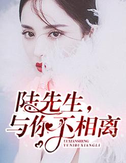 陆先生,与你不相离