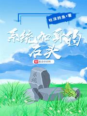 系统加身的石头