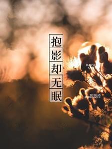 抱影却无眠