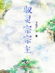 驭灵宗宗主