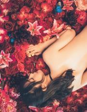 此去红妆不做妃