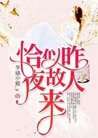 恰似昨夜故人来