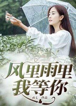 风里雨里我等你