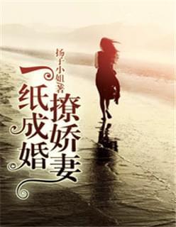 一纸成婚撩娇妻