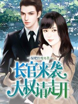 长官来袭:大叔请走开