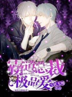 霸道总裁的极品男宠