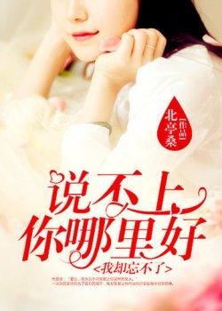 说不上你哪里好,我却忘不了