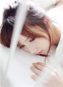 春来折尽向南枝