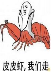 皮皮虾，我们走