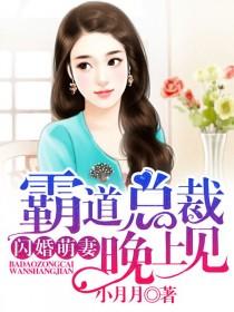 闪婚萌妻:霸道总裁晚上见!