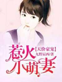 天价豪宠:惹火小萌妻