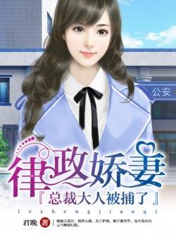 律政娇妻:总裁大人被捕了