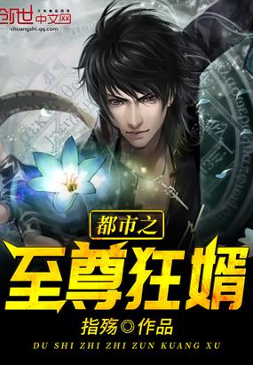 都市之至尊狂婿