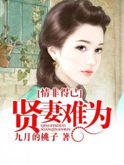 情非得已:贤妻难为