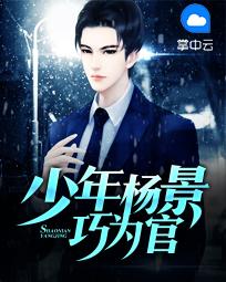 少年杨景巧为官