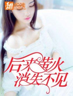后来萤火消失不见顾青季寒川