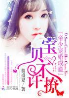 帝少宠婚成瘾:宝贝,不许撩