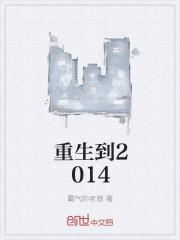 重生到2014
