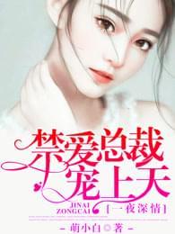 一夜深情:禁爱总裁宠上天