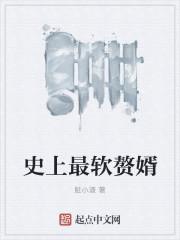 史上最软赘婿