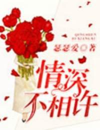 情深不相许