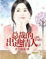 总裁的出逃情人