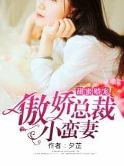 甜蜜婚宠:傲娇总裁小蛮妻