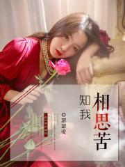 知我相思苦