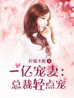 一亿宠妻:总裁轻点宠