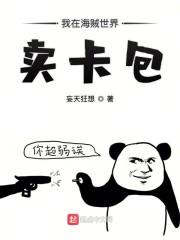 我在海贼世界卖卡包