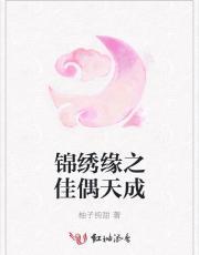 锦绣缘之佳偶天成