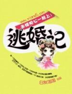 未婚相公一起上:逃婚记