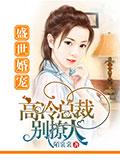 盛世婚宠,高冷总裁别撩人