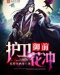 御前护卫花冲