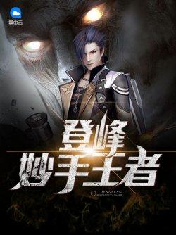 登峰妙手王者