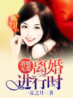 潜婚无爱:离婚进行时