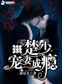 重生九八:楚少宠妻成瘾