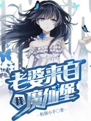 我老婆是个魔法少女