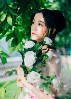 情路婉转云烟散