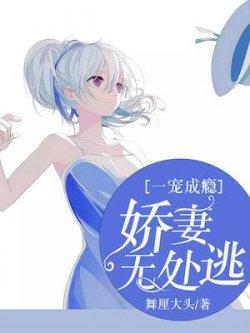 一宠成瘾:娇妻无处逃