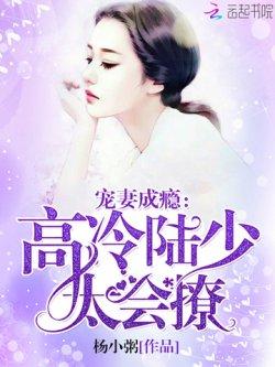 宠妻成瘾:高冷陆少,太会撩