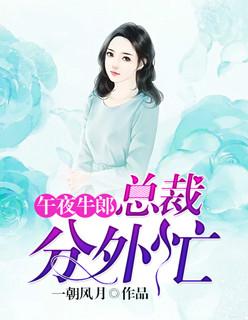 午夜牛郎:总裁分外忙