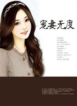 宠妻无度慕青春叶流年