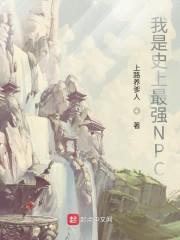 我是史上最强NPC