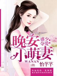 盛少夺爱:晚安小萌妻